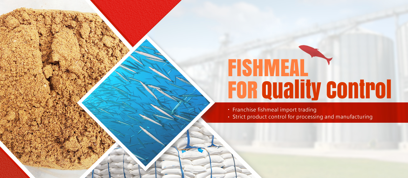 EL,FISHMEAL,ELLONG,TAIWAN EL,FISHMEAL,ELLONG,TAIWAN