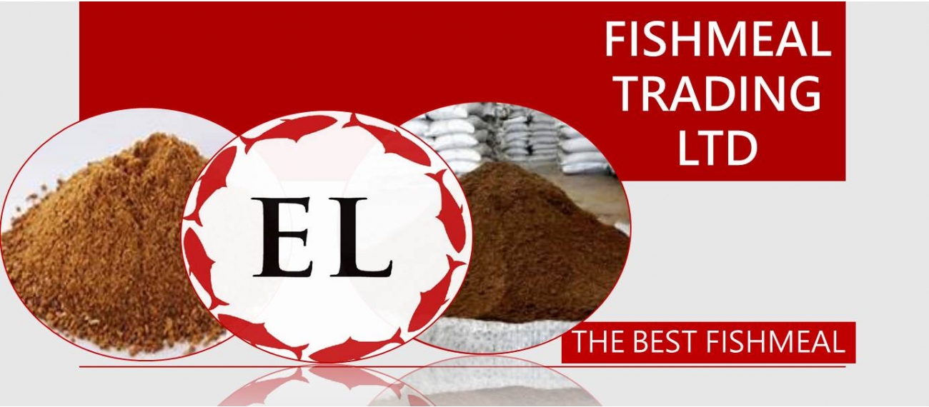 EL,FISHMEAL,ELLONG,TAIWAN EL,FISHMEAL,ELLONG,TAIWAN